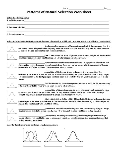 Patterns Of Natural Selection Worksheet