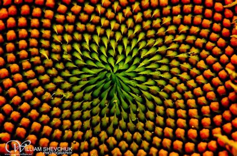 Patterns in Photography Showcase of Beautiful Patterns
