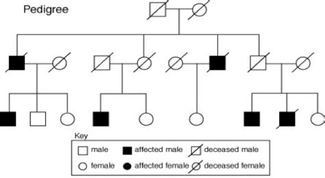 Patterns of Inheritance Generation