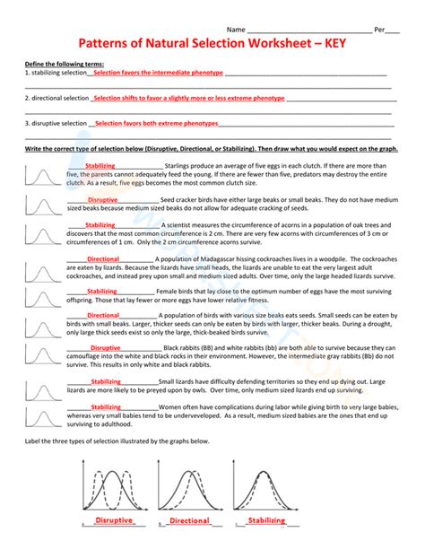 Patterns of Natural Selection Worksheet Worksheet Zone
