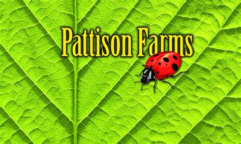 Pattison Farm in Saint Cloud, MN with Reviews - YP.com - Yellow Pages