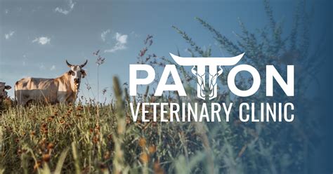 Patton vet. Things To Know About Patton vet. 