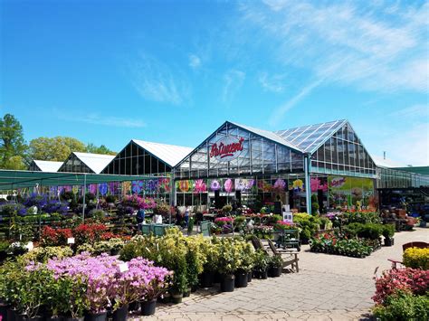 Patuxent nursery. Things To Know About Patuxent nursery. 