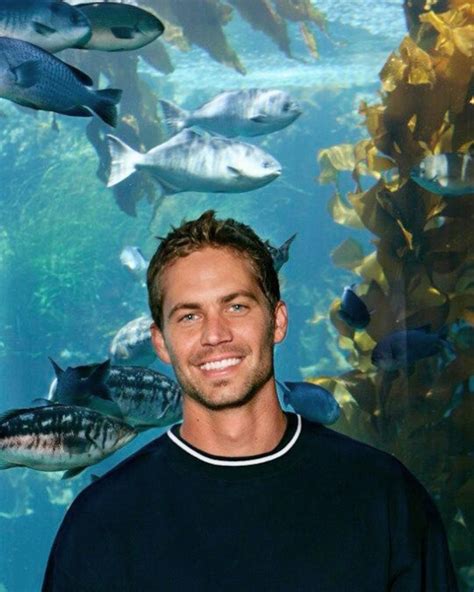 Paul Walker Profiles Facebook. 