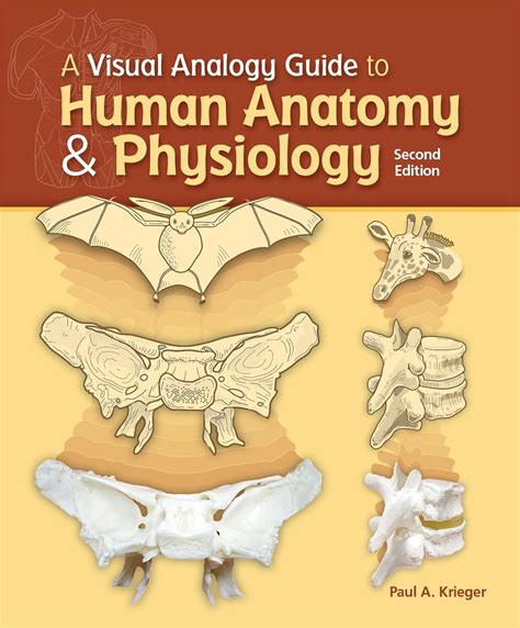 Paul krieger visual guide anatomy physiology. - Richard busch physical geology laboratory manual answers.