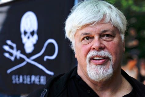 Paul watson. Aug 24, 1979 · Paul Watson, Angry Shepherd Of the Seas. By Henry Mitchell. August 24, 1979. The Pacific streamed with blood from the whale and Paul Watson, the soft-looking defender of the orcas and other great ... 