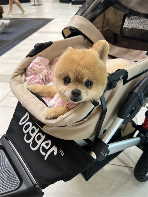 Paulaguerreroc1 Leaks [SEX VIDEO] 231 Photos