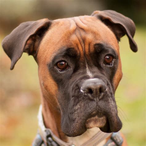 Paulitta.1 Leaked (SEX) 🍌 99 Pics