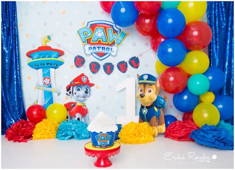 Paw Patrol Cake Smash - Etsy