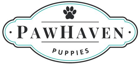 Paw haven. Things To Know About Paw haven. 