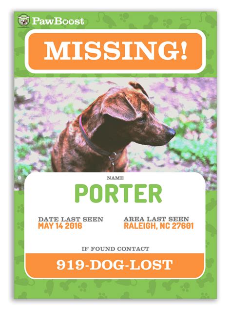 Pawboost lost pets. Things To Know About Pawboost lost pets. 