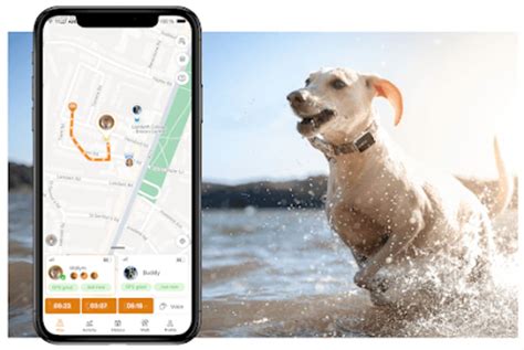 Pawfit GPS Pet Tracker APK Download for Android 