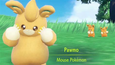 Pawmi Evolution Into Pawmo & Pawmot Pokemon Scarlet Violet