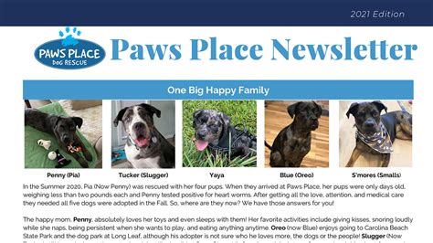 Paws Place Dog Rescue – Just another WordPress site