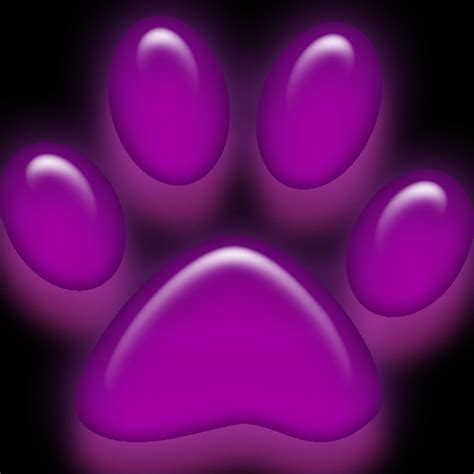 Paws and Claws Pet Grooming Flatwoods WV - Facebook