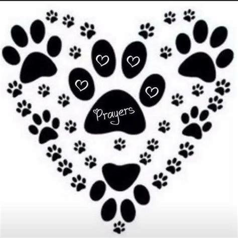 Paws and prayers. Things To Know About Paws and prayers. 