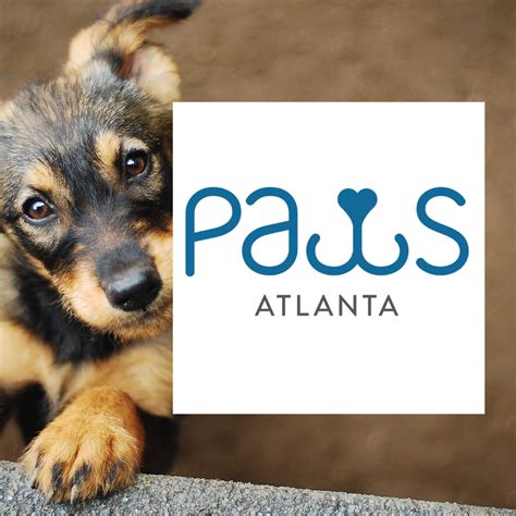 Paws atlanta. Stay up to date with the latest news from your pet pals here at PAWS Atlanta by signing up for our newsletter. Email address. Hours of Operation. Adoptions by appointment only Shelter open 10:00am - 5:00pm daily Address. 5287 Covington Highway Decatur, GA 30035 Get in Touch. 770-593-1155 info@pawsatlanta.org ... 