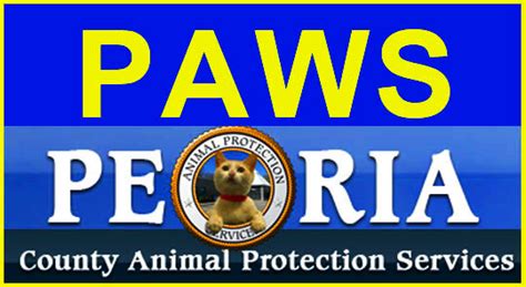 Paws peoria il. 3809 Sterling Ave. Suite 107 - Sterling Plaza, Peoria, IL. 61615 309-446-9721 pfsshelter@gmail.com Appointments can be made by texting or calling 309-446-9721 and leaving a voicemail. Please fill out a no-obligation application to adopt ahead of time. Pets for Seniors prefers credit or debit card at time of adoption due to our digital check-out ... 