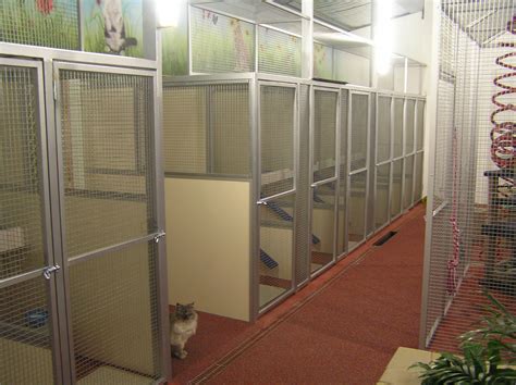 Pawton Stream Boarding Cattery - Boarding Cattery in …