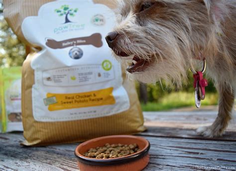 Pawtree dog food. My Story pawTree came into my life at the perfect time. My dog had started having stomach issues and my husband and I noticed that he wasn't enjoying his food. We were feeding him a high end dog food but he would only eat when he finally became very hungry. We switched him to pawTree dog food and he loves it. 