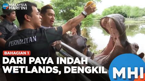 Paya Indah Wetland, DENGKIL - YouTube