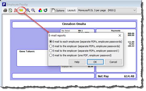 Payroll SE: Unable to send Payslips via email - force.com