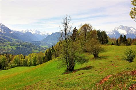 Paysage