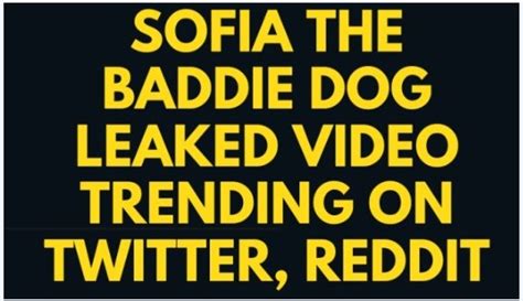 Link Sofia The Baddie Dog Video Twitter Pbrleaks Leaked Link Here Latest Link Sofia Baddie Dog Video Twitter Pbrleaks Leaked Link Latest. . Pbrleaks