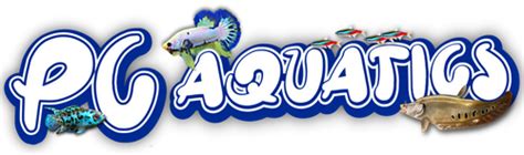Pc aquatics. Classroom Aquatic for PC and PS4 is a game developed for VR headgear by small indie studio Sunken Places. The production is a humorous simulation game, similar in style to I Am Bread, Job Simulator, and Goat Simuator. The … 