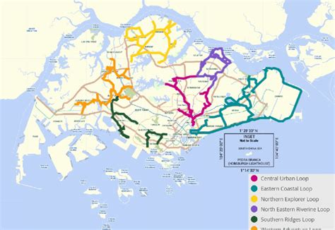Pcn map singapore.  The Park Connector Network (PCN) are a network of walk...