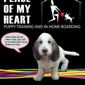 Peace of My Heart: Puppy Training and In-Home Boarding