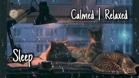 Peaceful Rain Music: Sleepy Nights for Cats by The Rain Library ...