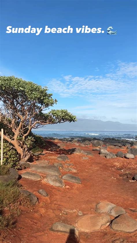 Peaceful Sunday morning. I love the sound of the waves.