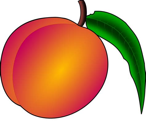 Peach Clip Art - Royalty Free - GoGraph