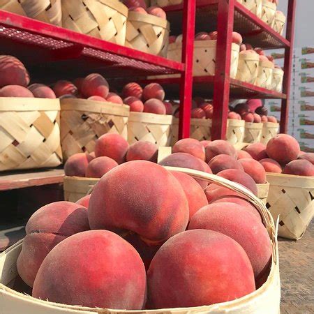 Peaches, blackberries, and... - Strawberry Hill USA