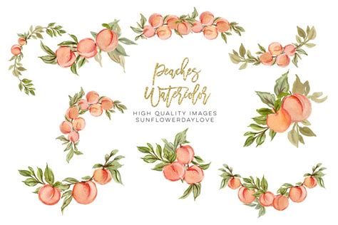 Peaches Arrangements Clipart, Greenery Summer Peaches