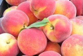 Peaches ne demek