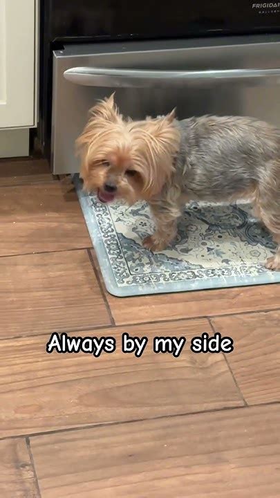 Peachie_Weachie_ Leaked [HD] 🔥 160 Vids