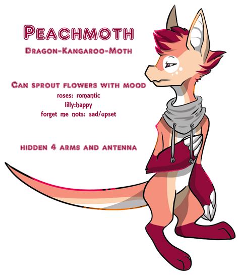 Peachmoth Leaked [CLIP] 144 Videos