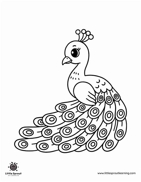 Peacock Coloring Shee