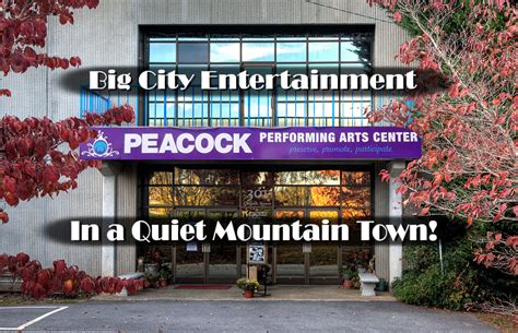 Peacock Performing Arts Center - Tripadvisor