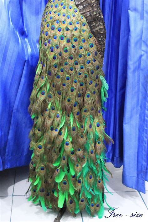 Peacock feather skirt. .  ...