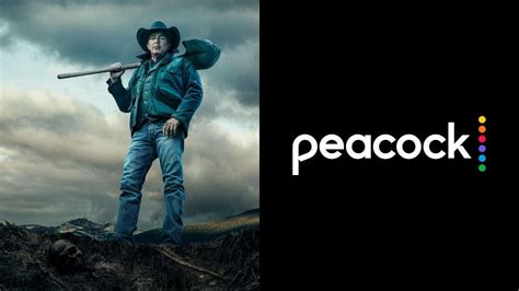 Peacock yellowstone season 5. Streaming TV brands like Apple TV Plus, Peacock, and Amazon Prime Video are using MLB games as a test case for live event programs. Major League Baseball (MLB) scored a packed Yank... 