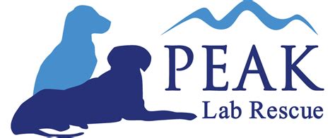 Peak Lab Rescue / Dog Rescue NC / Available Dogs