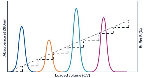 Peak compression in linear gradient elution liquid chromatography