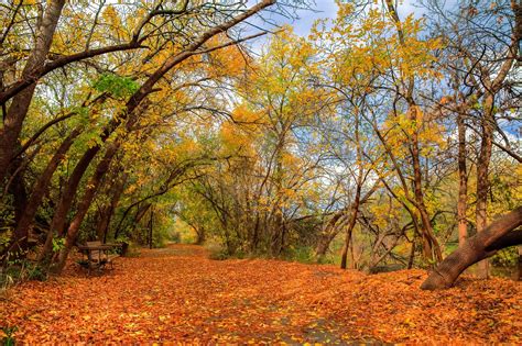 Peak fall foliage in Central Texas coming soon