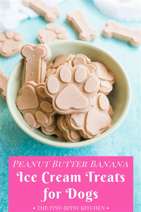 Peanut Butter Banana Ice Cream for Dogs Is the Perfect Summer …