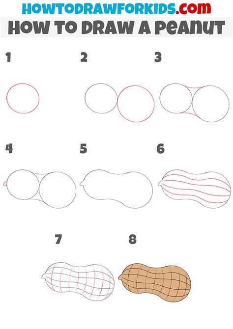 Peanut Drawing - How To Draw A Peanut Step By Step - I …