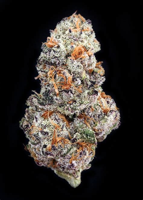 Peanut butter breath. Find information about the Peanut Butter Breath strain from Champ City such as potency, common effects, and where to find it. 