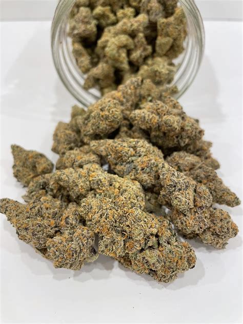 Peanut Butter & Jealousy is a distinctive strain that melds the rich, nutty essence of peanut butter with the intriguing notes of Jealousy strain. This hybrid offers a unique …. 